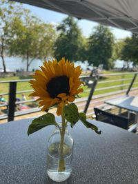 Sommerfest auf der Dachterrasse Dom im Stapelhaus (66)